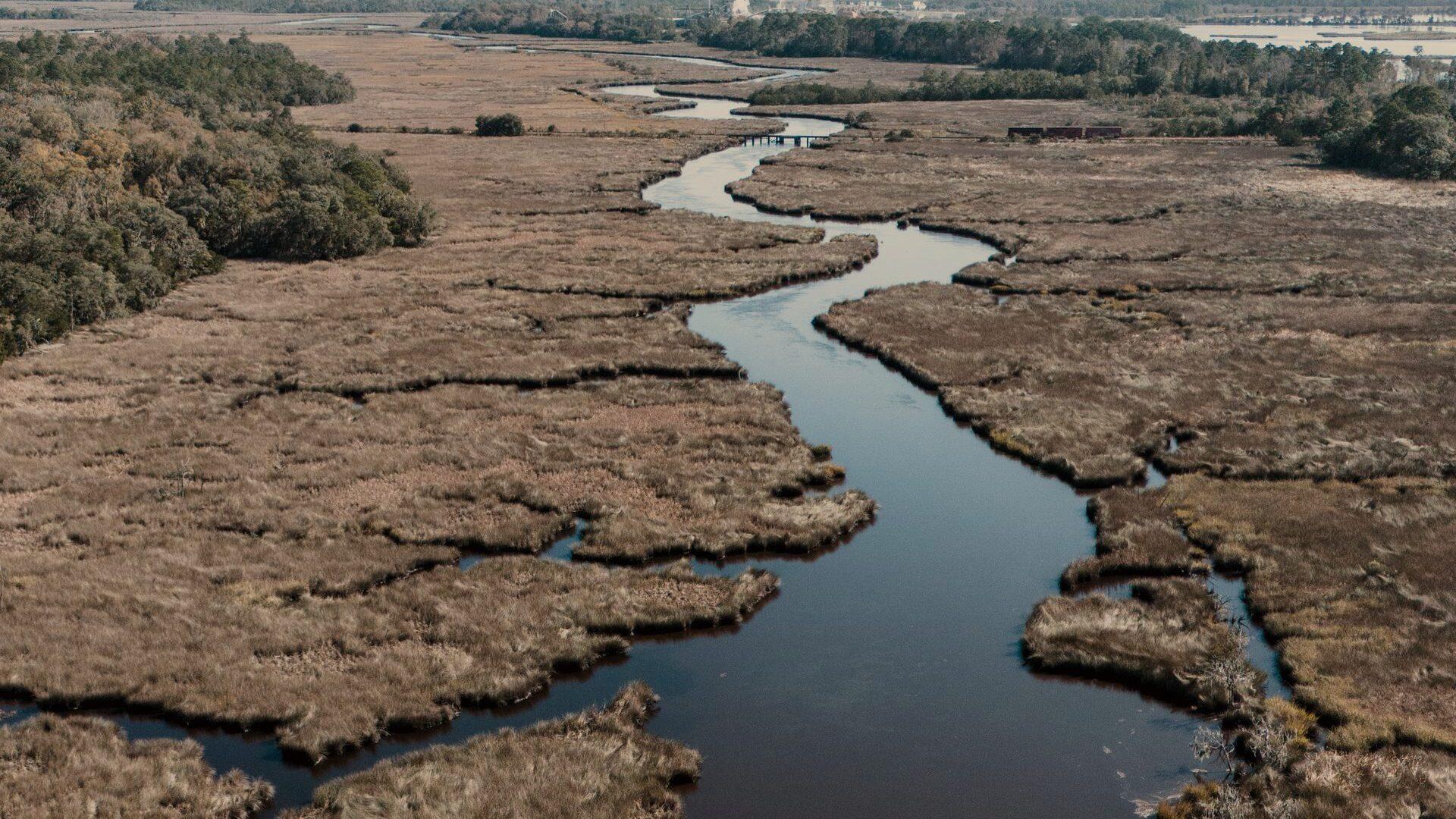 An aerial view of a coastal marsh and tidal waterway