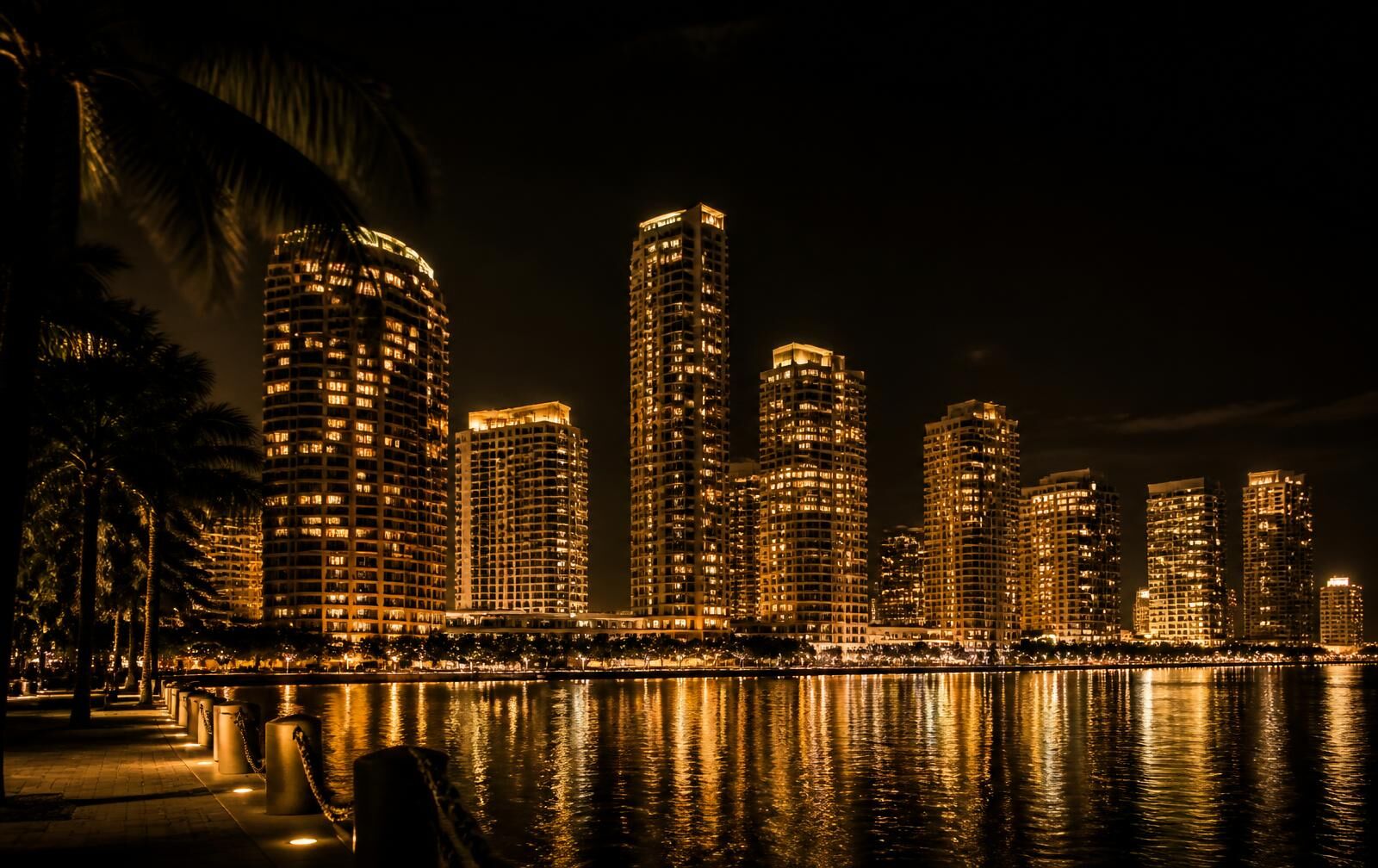 A South Florida waterfront skyline at night, palms in the foreground and city lights on the water